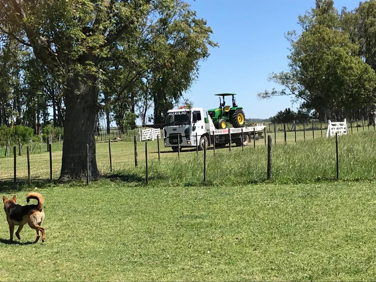 Excelente Campo 94 Agricola. Imperdible — foto 14