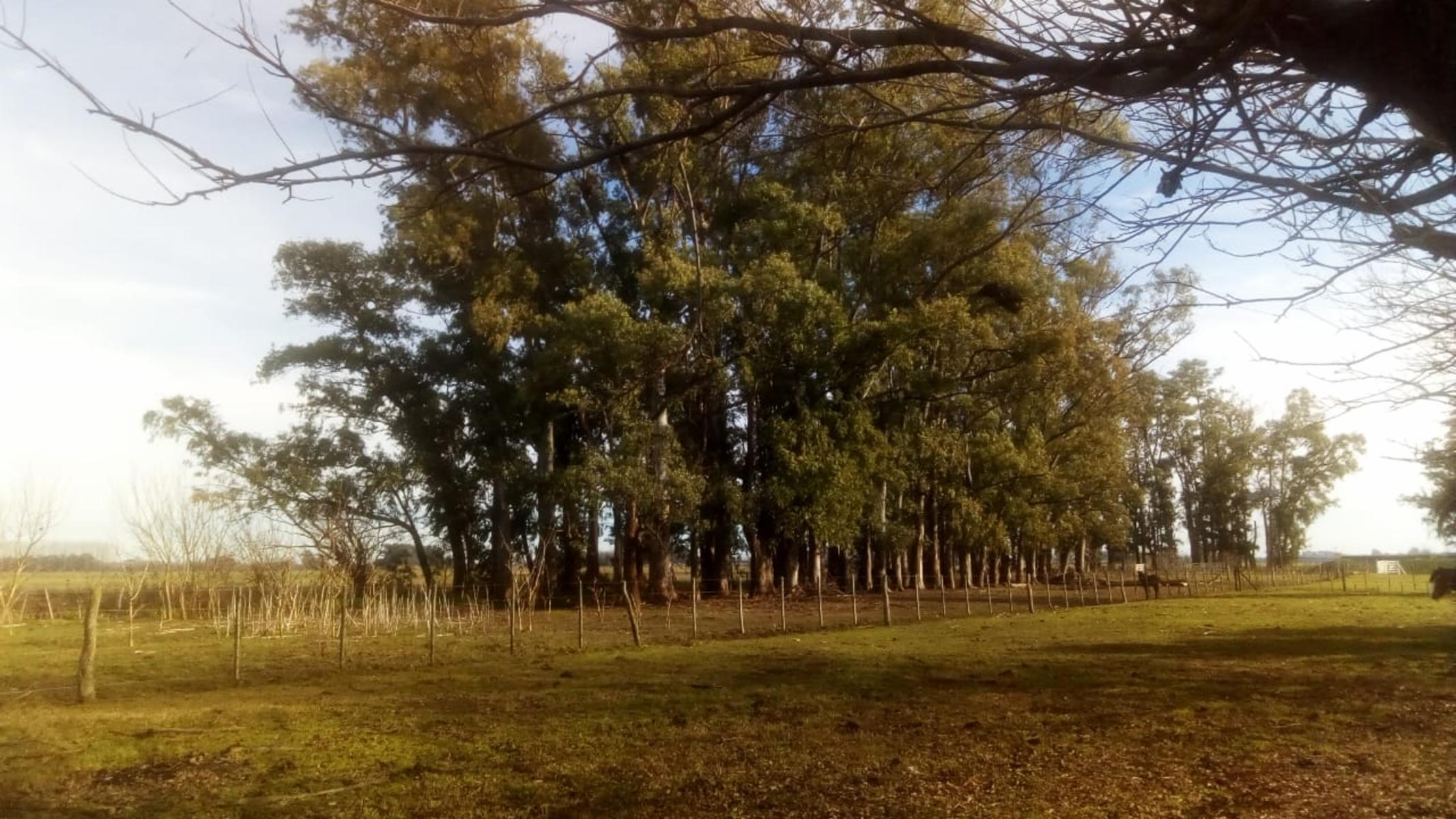Excelente Campo 94 Agricola. Imperdible - 16