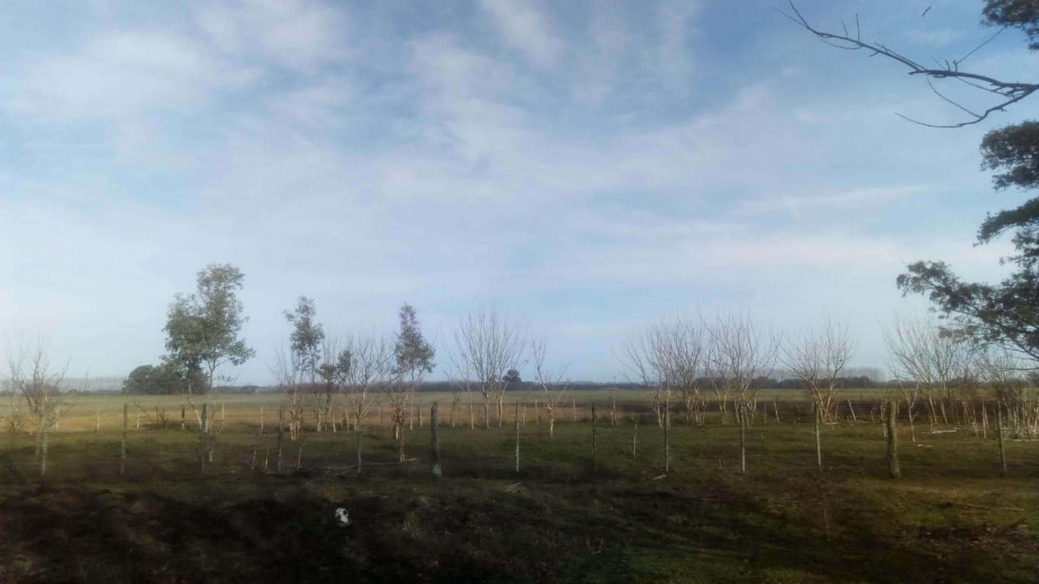 Excelente Campo 94 Agricola. Imperdible - 17