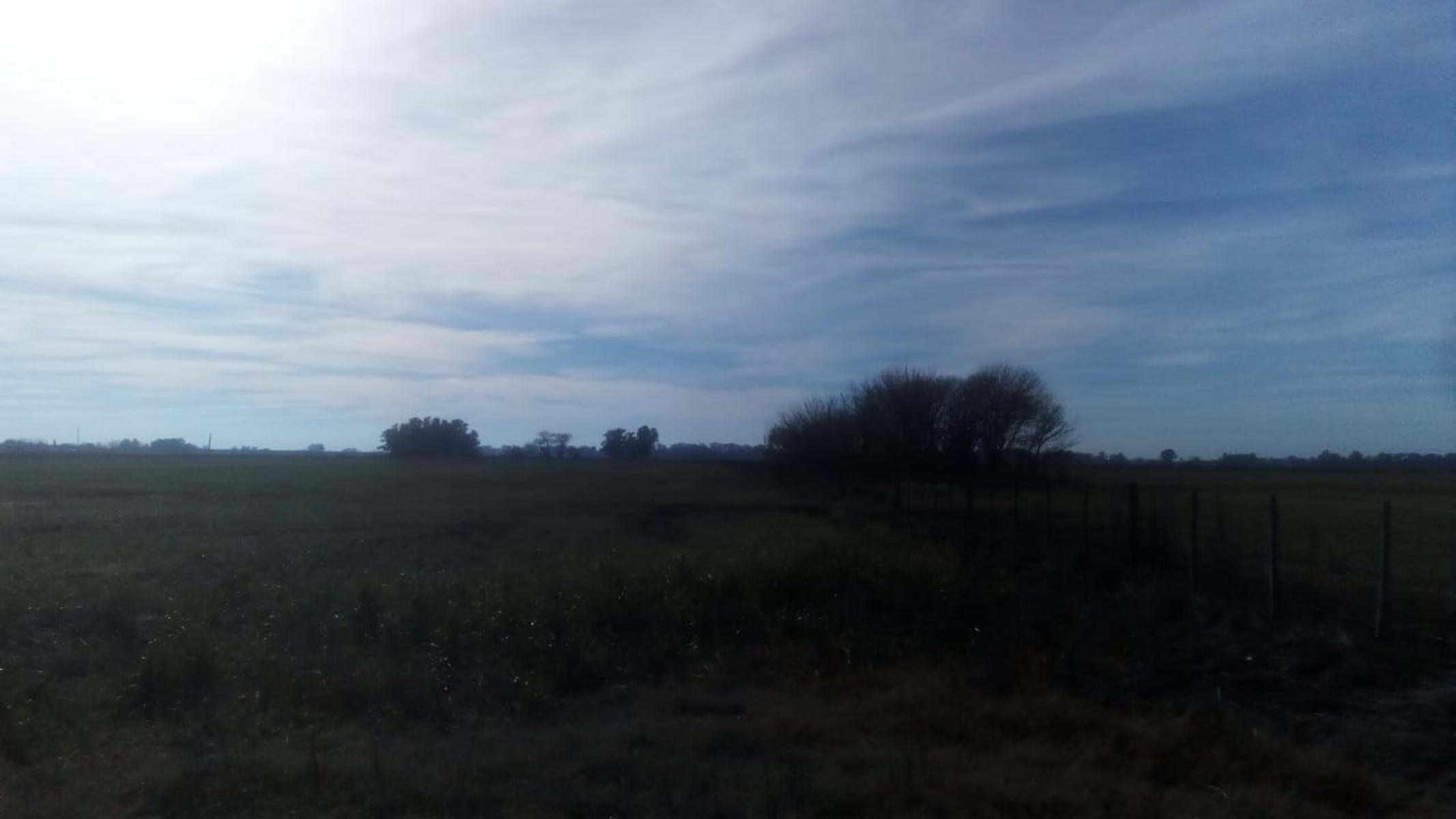 Excelente Campo 94 Agricola. Imperdible - 18