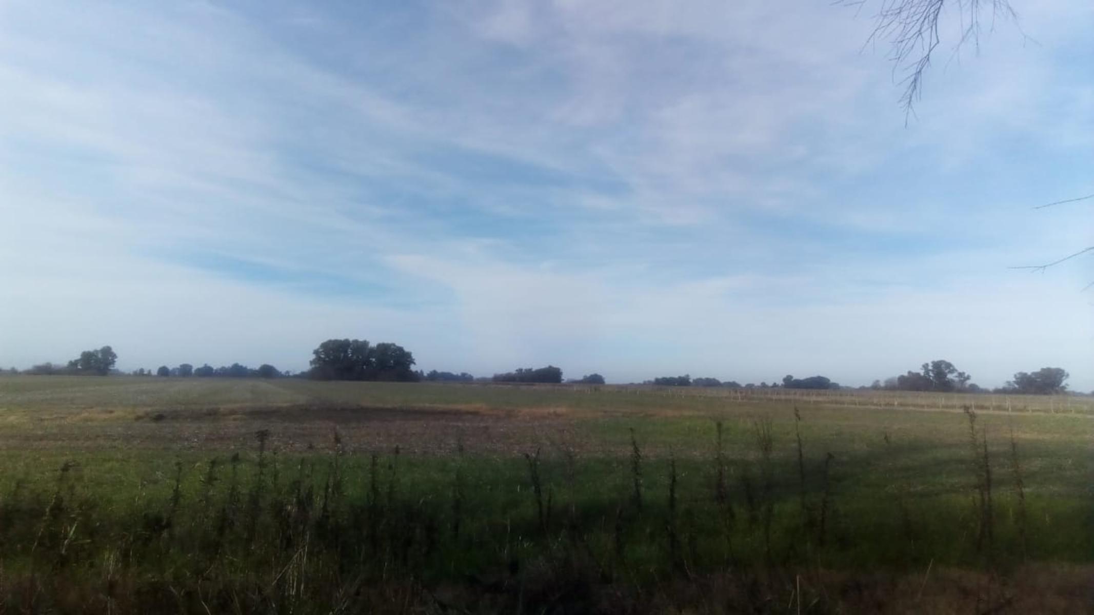 Excelente Campo 94 Agricola. Imperdible - 19