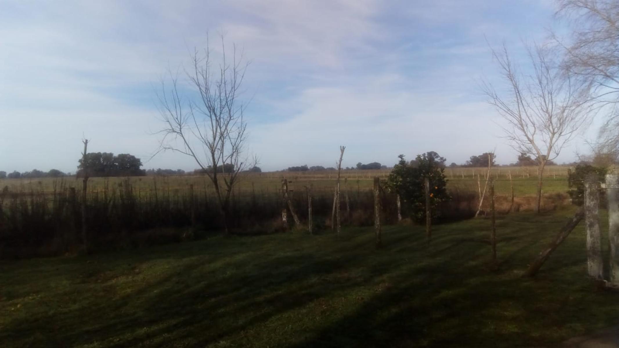 Excelente Campo 94 Agricola. Imperdible - 20