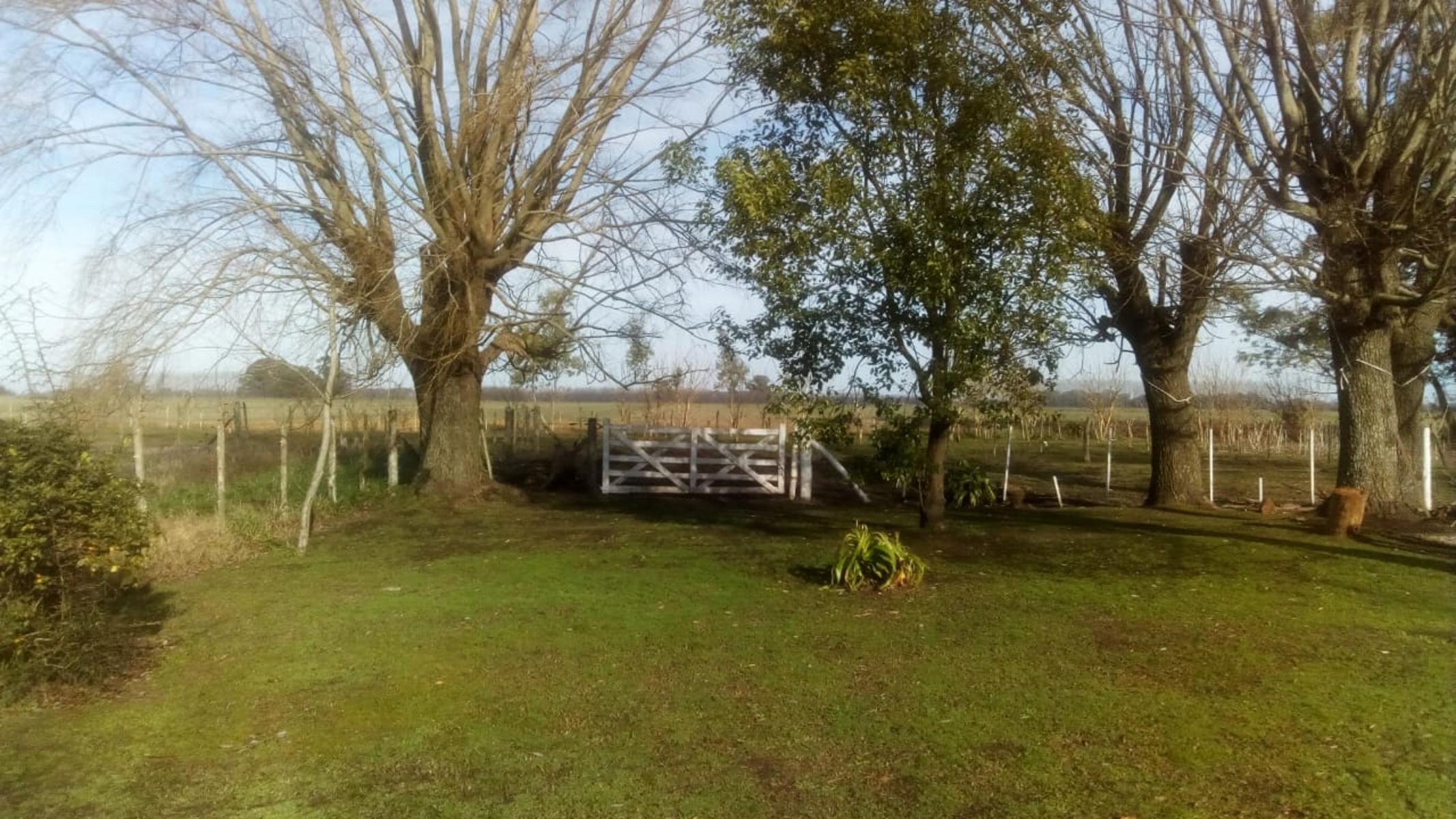 Excelente Campo 94 Agricola. Imperdible - 24