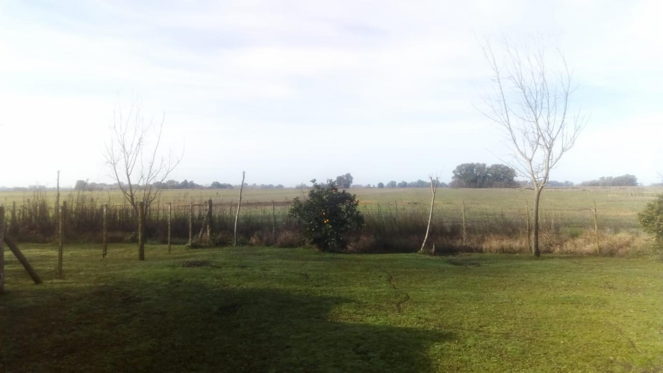 Excelente Campo 94 Agricola. Imperdible - 25