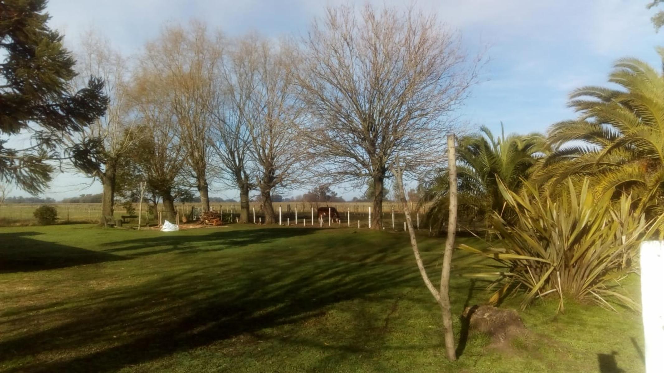 Excelente Campo 94 Agricola. Imperdible - 28