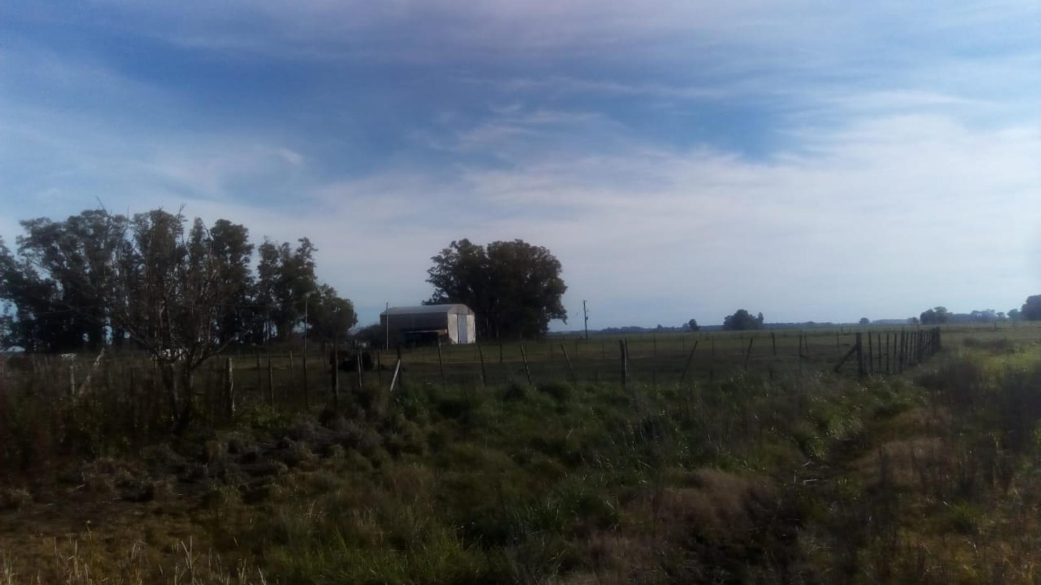 Excelente Campo 94 Agricola. Imperdible - 29