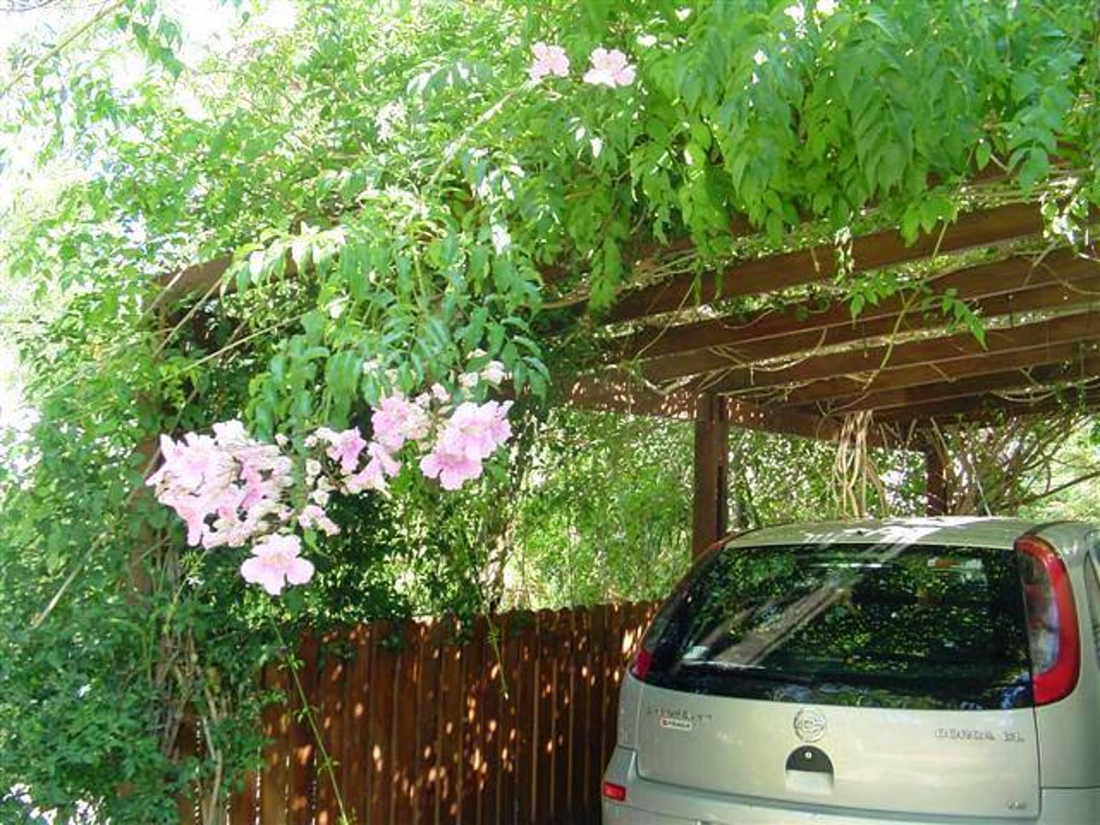 Pinamar, casa sobre lote de 450 m2 Living comedor, 3 Dormitorios, Cocina, 2 Baños, Jacuzzi, Parque y Parrilla. — foto 13