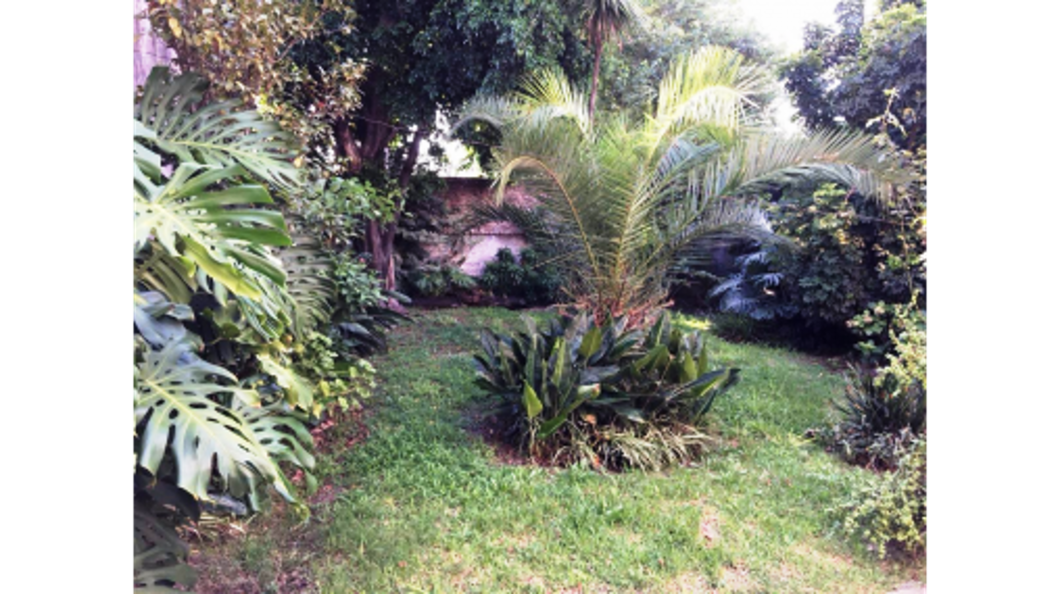 Lote Propio 10 x 27 2 Locales + vivienda — foto 4