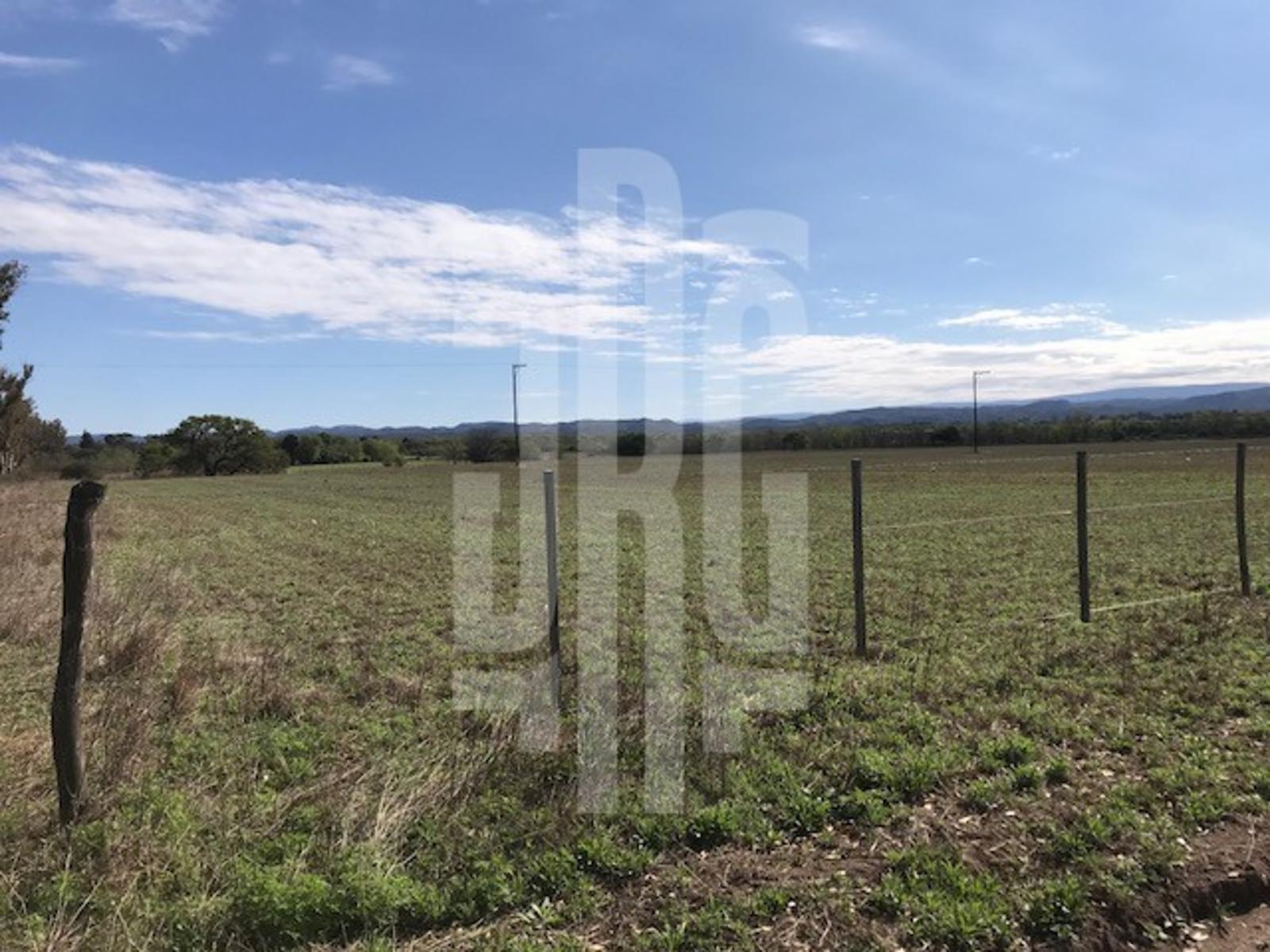 PROMO Lotes en VENTA – Anisacate, Los Talas. — foto 4