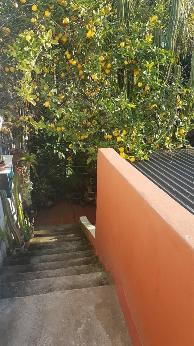 Casa en Ituzaingó, 120.000 U$S( cod AM 129) — foto 5