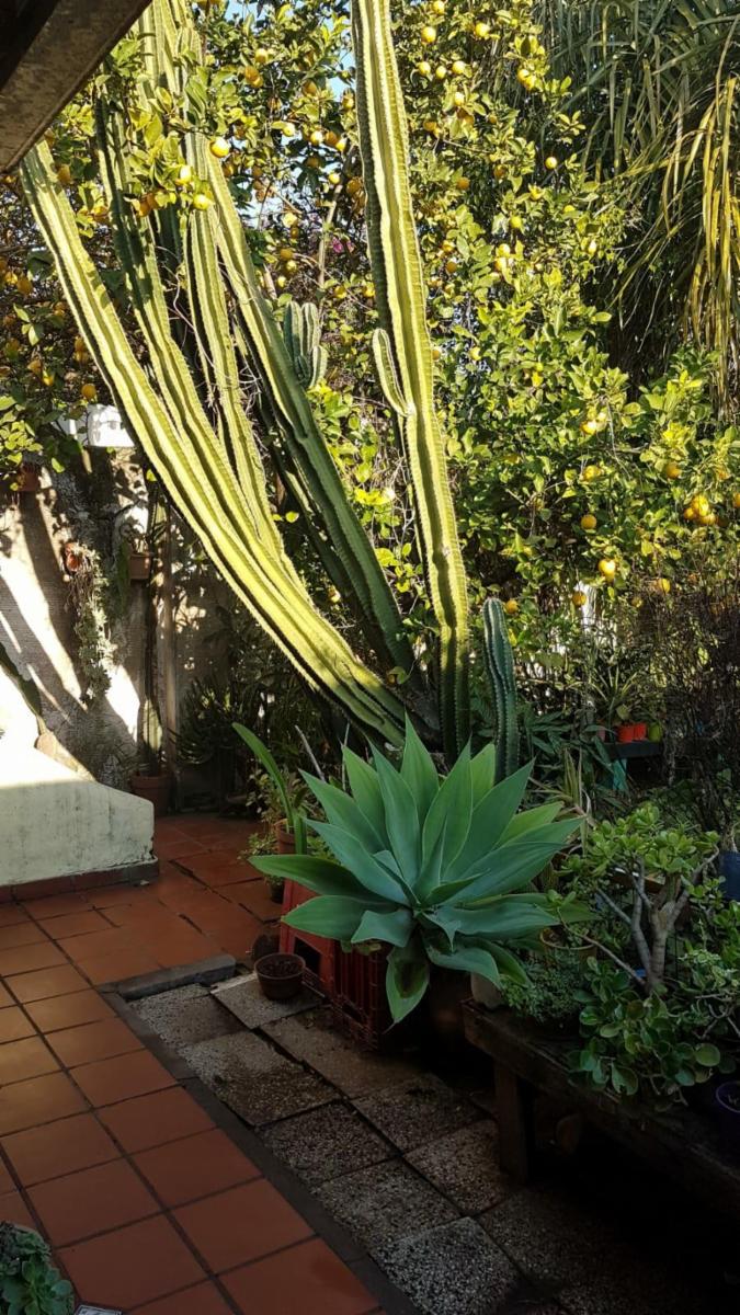 Casa en Ituzaingó, 120.000 U$S( cod AM 129) — foto 6