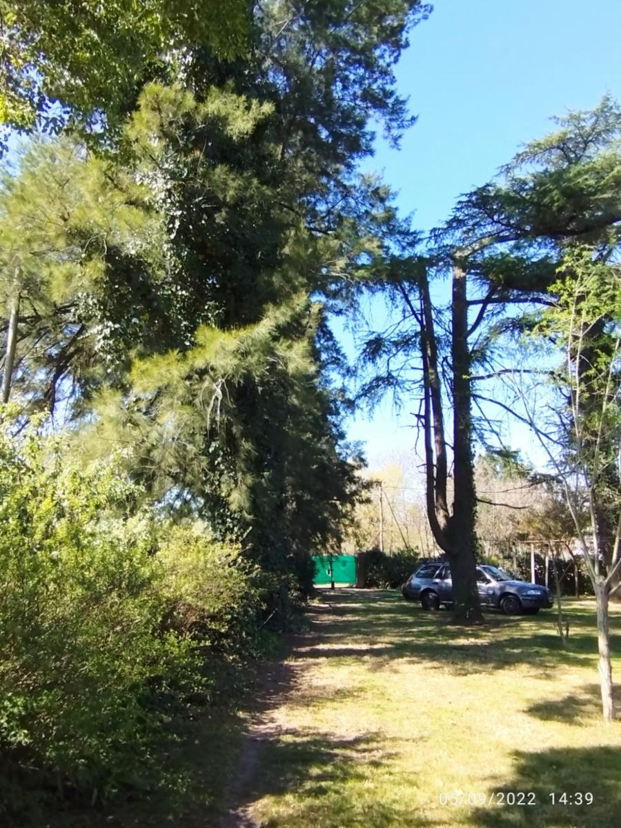 Quinta sobre 6 amplios lotes, pileta a refaccionar y galpon a terminar