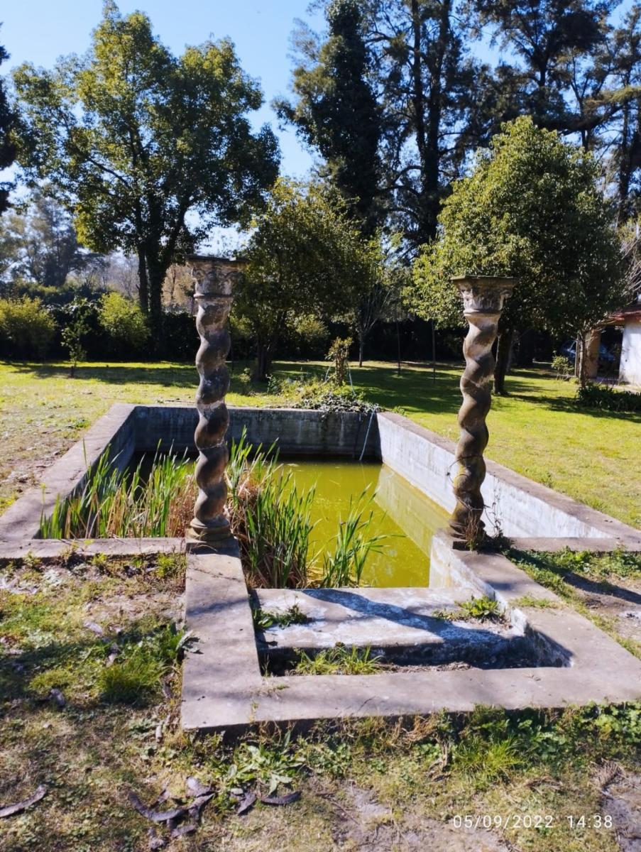 Quinta sobre 6 amplios lotes, pileta a refaccionar y galpon a terminar — foto 3