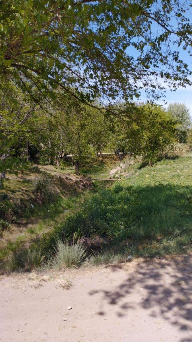 Quinta sobre 6 amplios lotes, pileta a refaccionar y galpon a terminar — foto 6