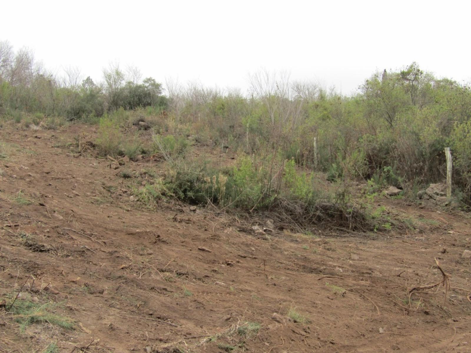 Lote de 750m2 con pendiente positiva en La Falda Córdoba. — foto 8