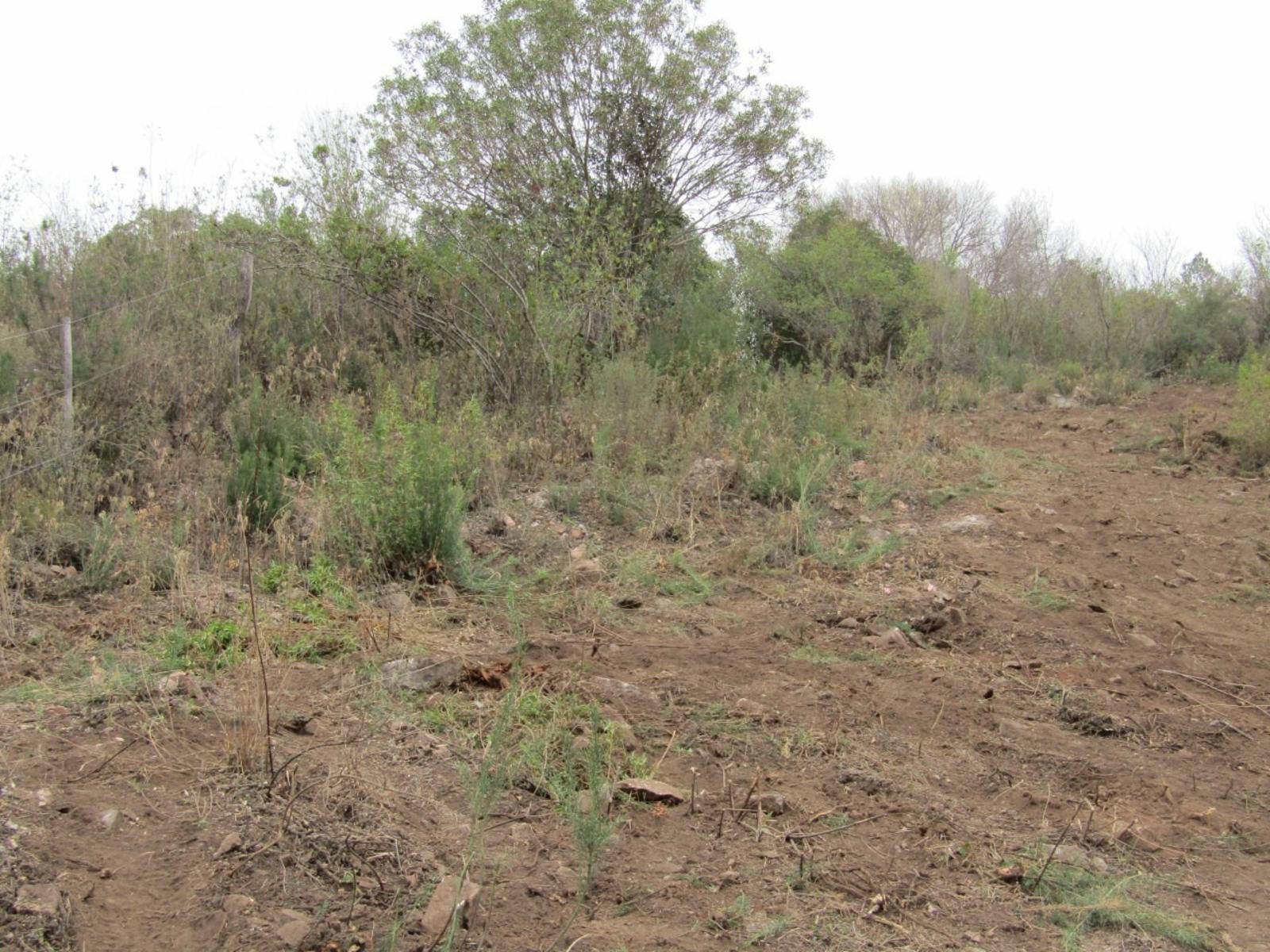 Lote de 750m2 con pendiente positiva en La Falda Córdoba. — foto 13