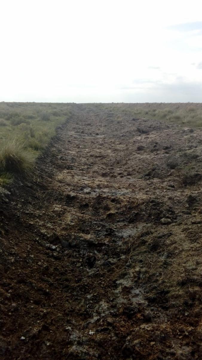 8.600 Hectáreas en La Rinconada, Córdoba - 3