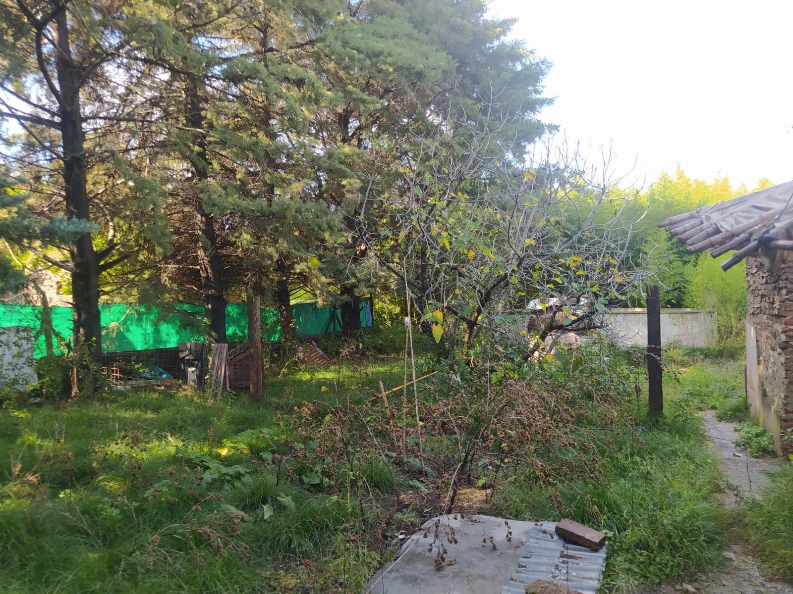 Casa a reciclar en Libertad, Merlo — foto 10