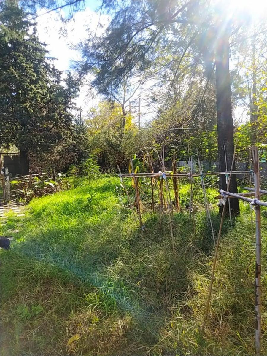 Casa a reciclar en Libertad, Merlo — foto 15