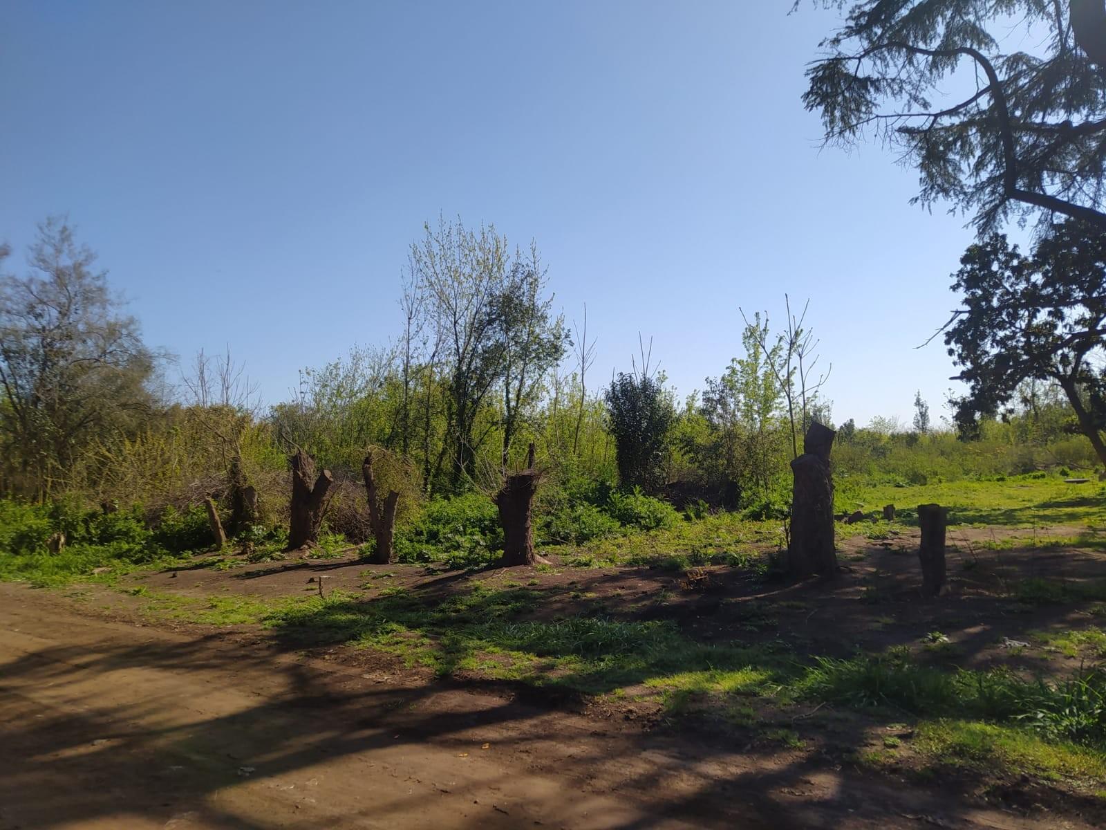 Casa de 3 ambientes, lote 7900 m2. en Marcos Paz - 12