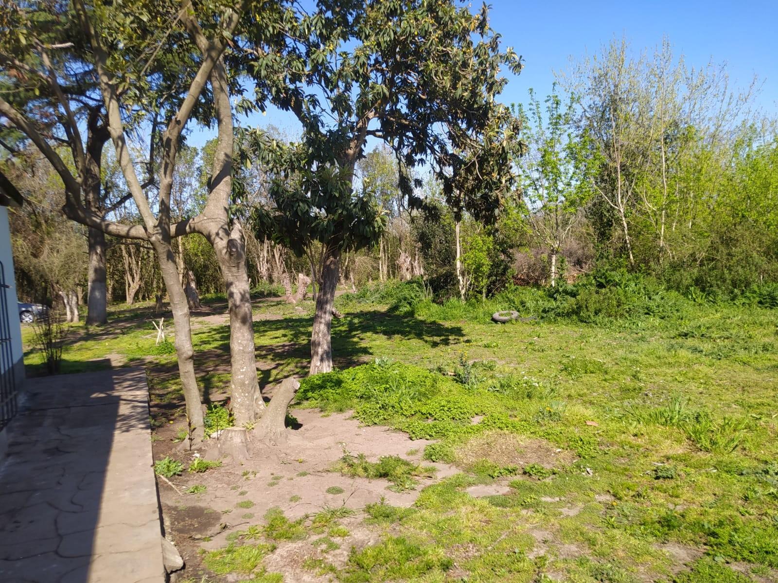 Casa de 3 ambientes, lote 7900 m2. en Marcos Paz - 14