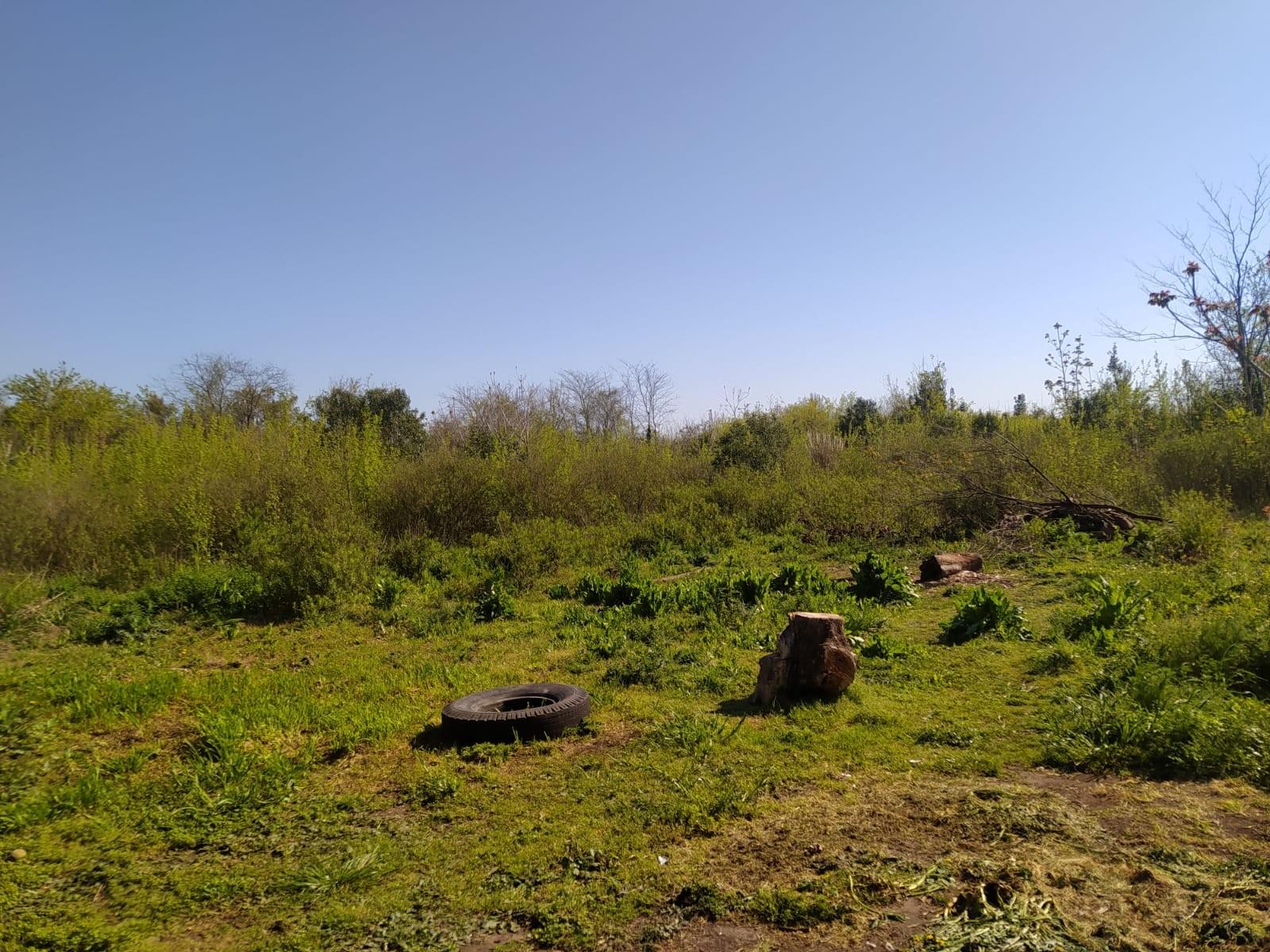 Casa de 3 ambientes, lote 7900 m2. en Marcos Paz - 16