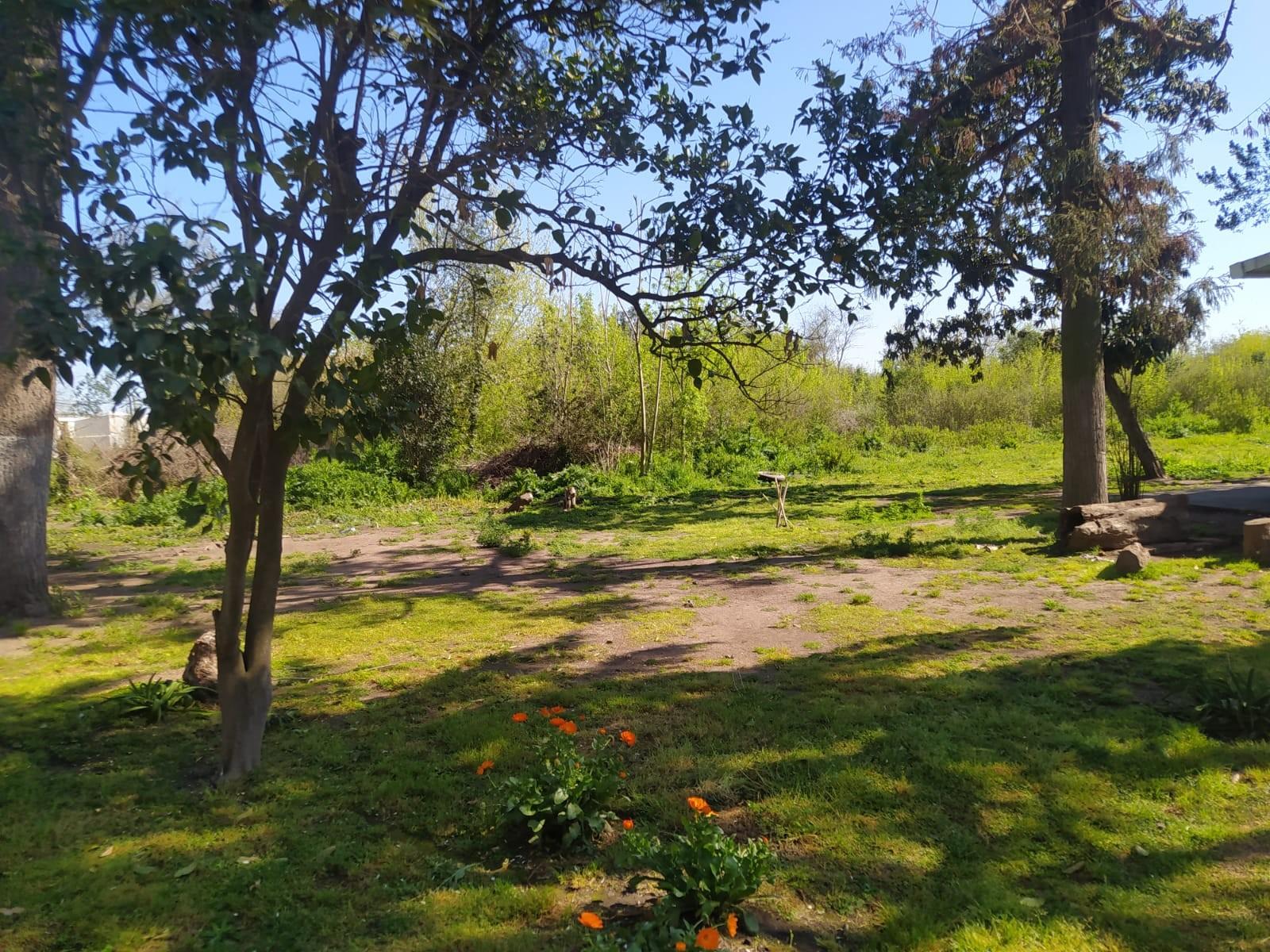 Casa de 3 ambientes, lote 7900 m2. en Marcos Paz - 17