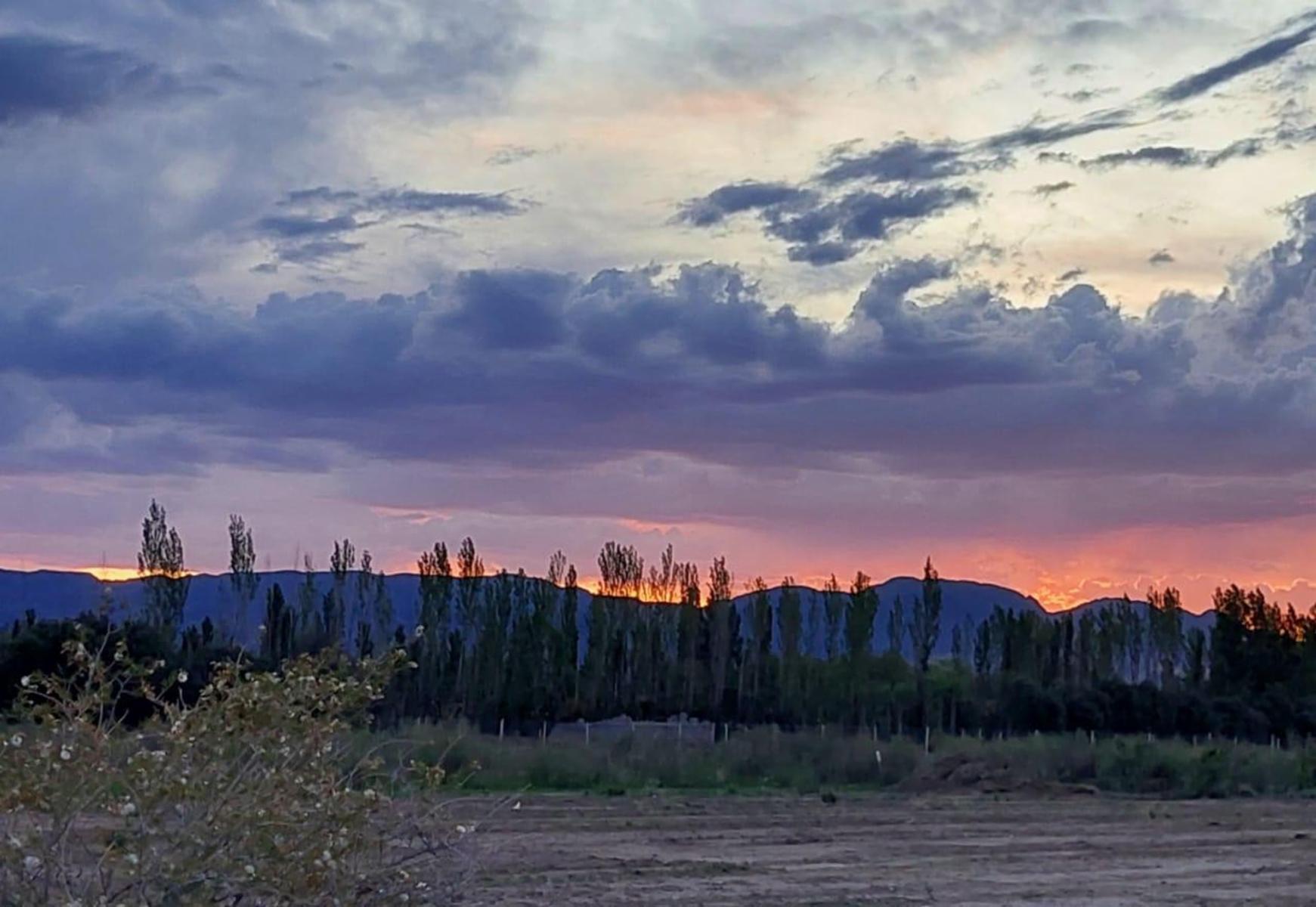 Lote de 5500m2. En Rama Caída, Mendoza — foto 3