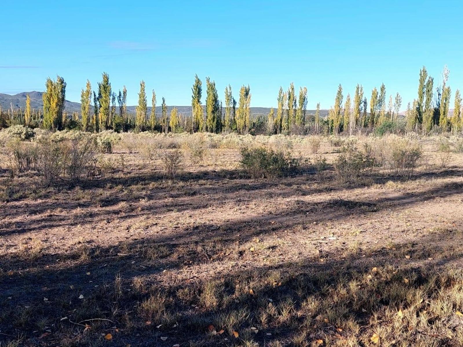 Lote de 2000m2. En Rama Caída, Mendoza — foto 2