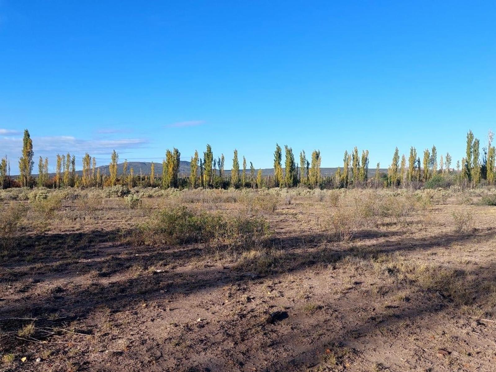 Lote de 2000m2. En Rama Caída, Mendoza — foto 3