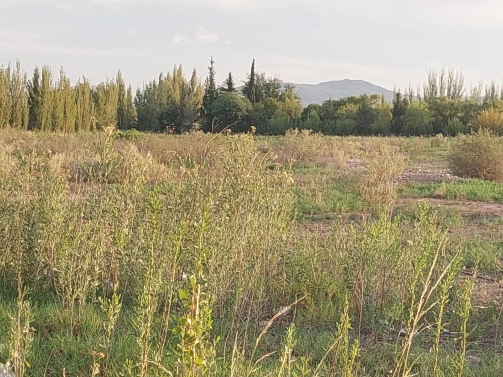 Lote de 2000m2. En Rama Caída, Mendoza — foto 5
