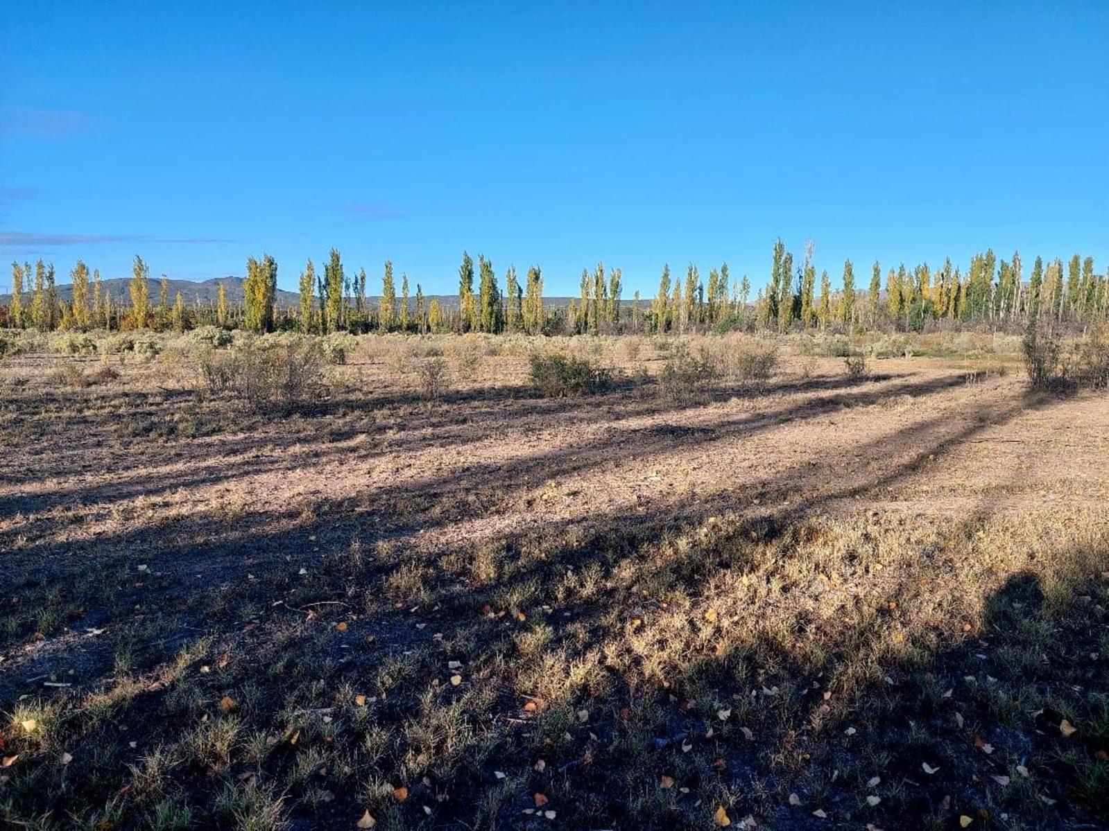 Lote de 2000m2. En Rama Caída, Mendoza — foto 7