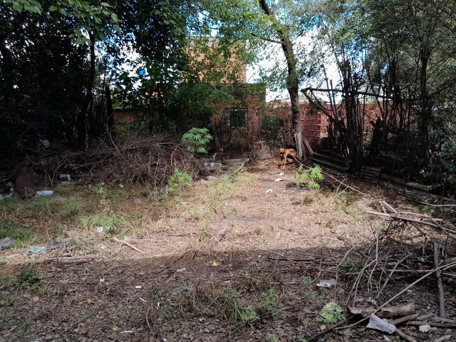 Casa a refaccionar + construcción a terminar en Matera, Merlo — foto 14