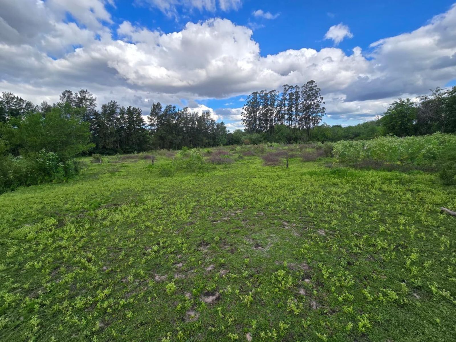 Campo de tres hectáreas en Colón, Entre Ríos - 1
