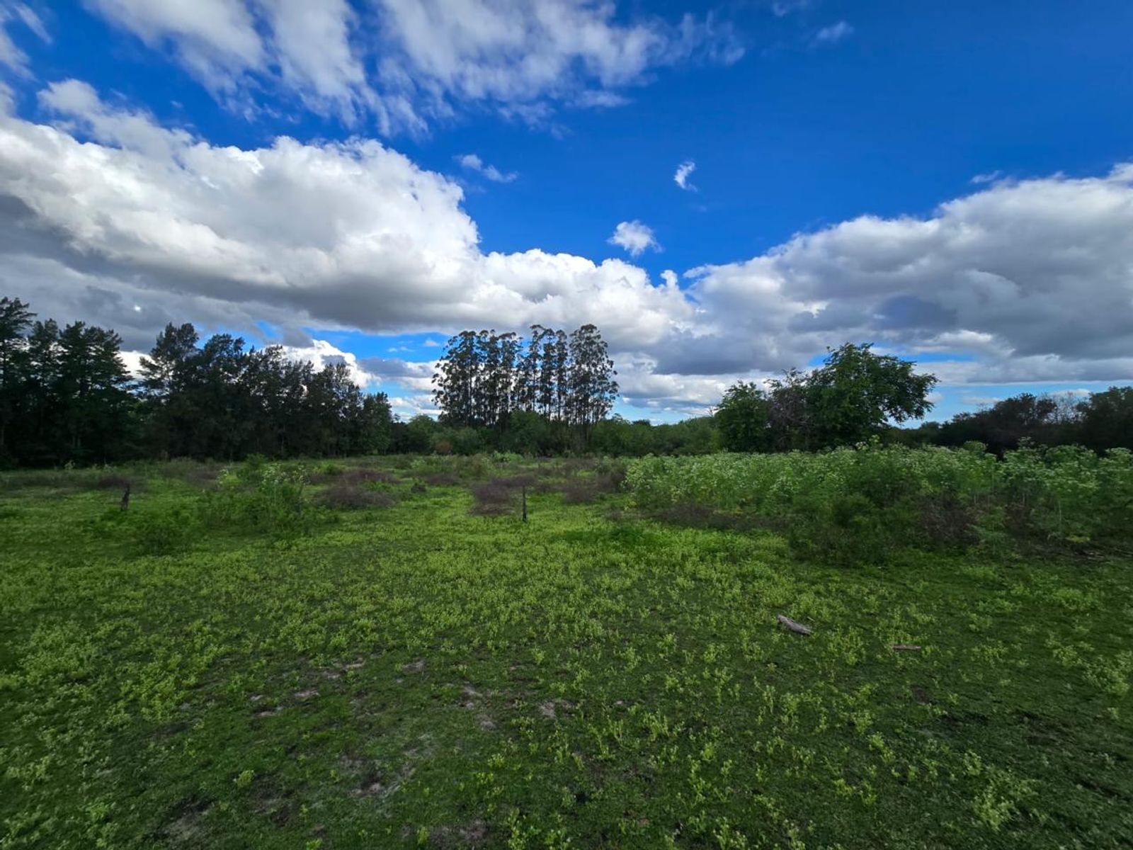 Campo de tres hectáreas en Colón, Entre Ríos - 3