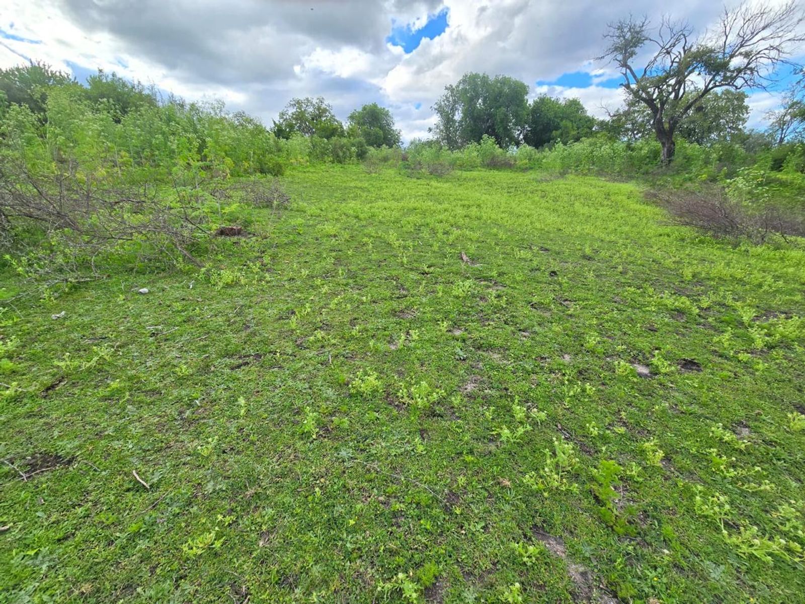 Campo de tres hectáreas en Colón, Entre Ríos - 6