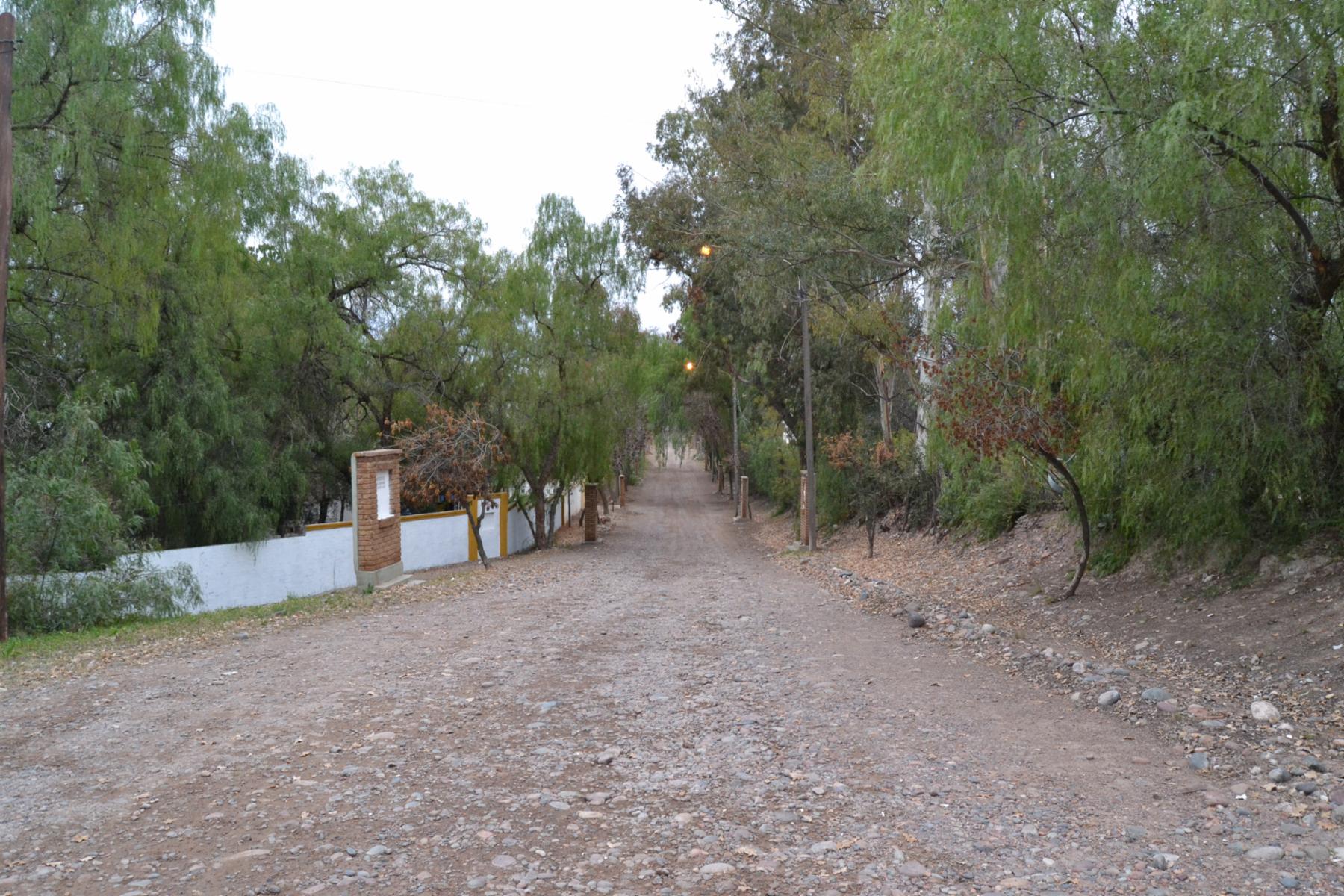 Excelente oportunidad Casa hermosa y pileta con terreno parquizado de 15.000 m2 en el &quotCristo Blanco&quot de Maipu. — foto 9