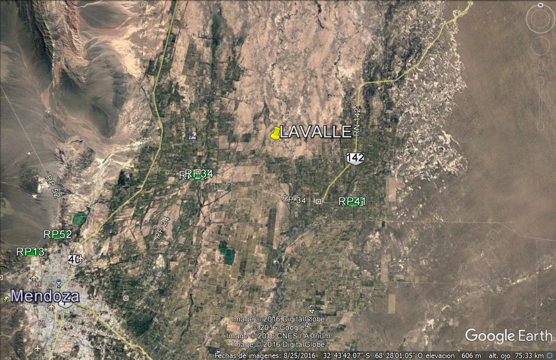 Venta Campo Lavalle, Mendoza. 600 hectáreas. excelente inversión - 1