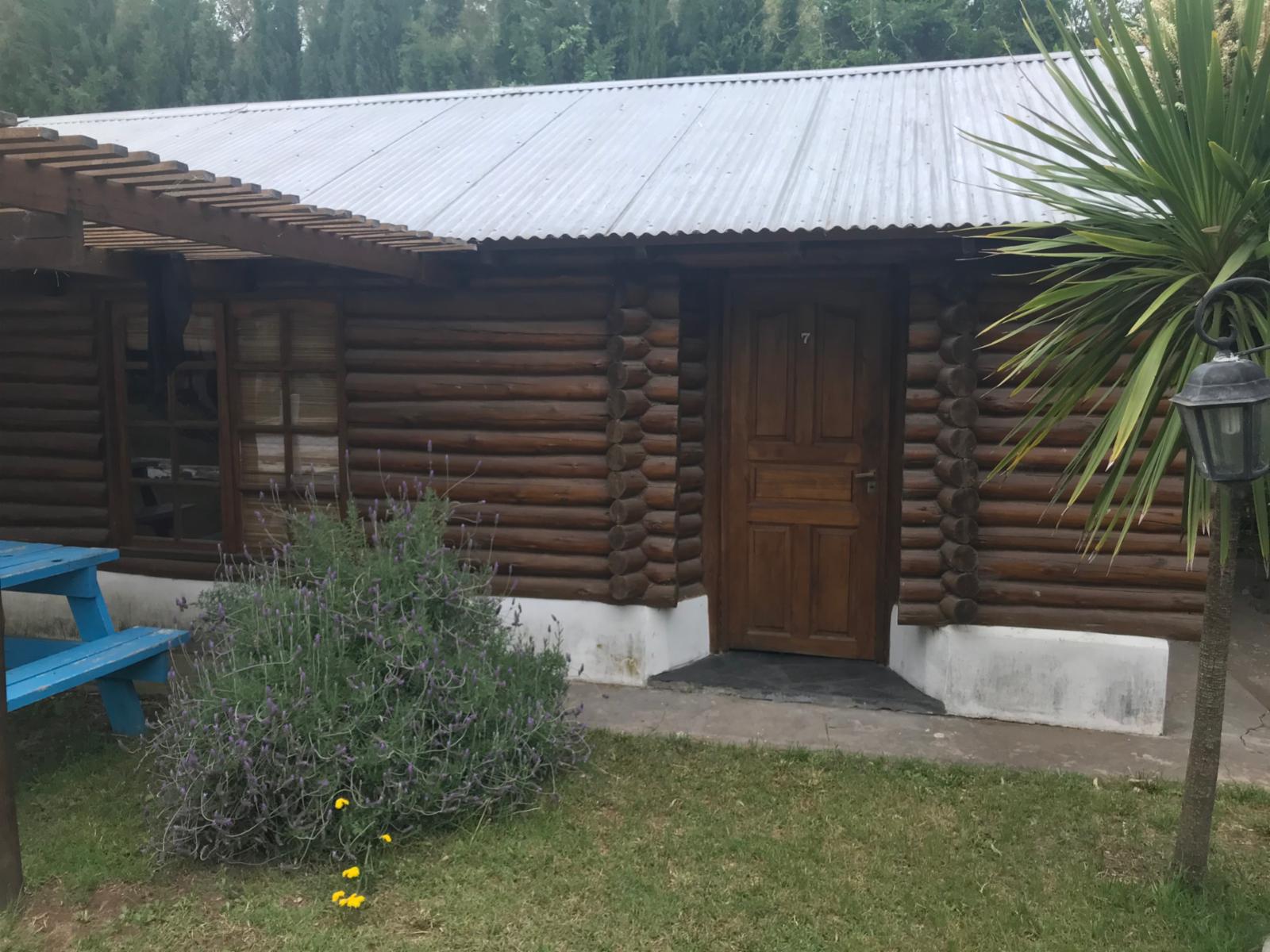 CABAÑAS DEL SAUCE - Cabaña Nº8 - 14