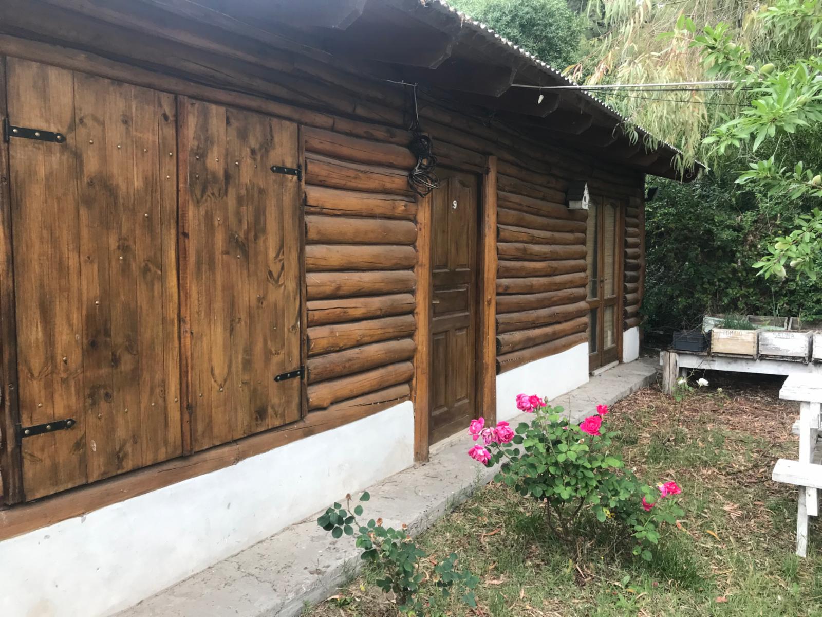 CABAÑAS DEL SAUCE - Cabaña Nº9 - 1