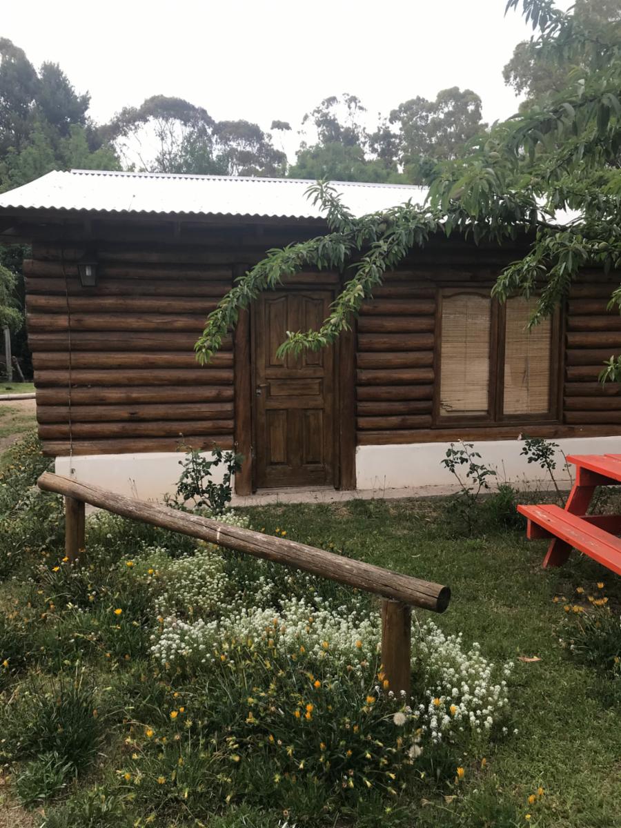 CABAÑAS DEL SAUCE - Cabaña Nº12 - 1
