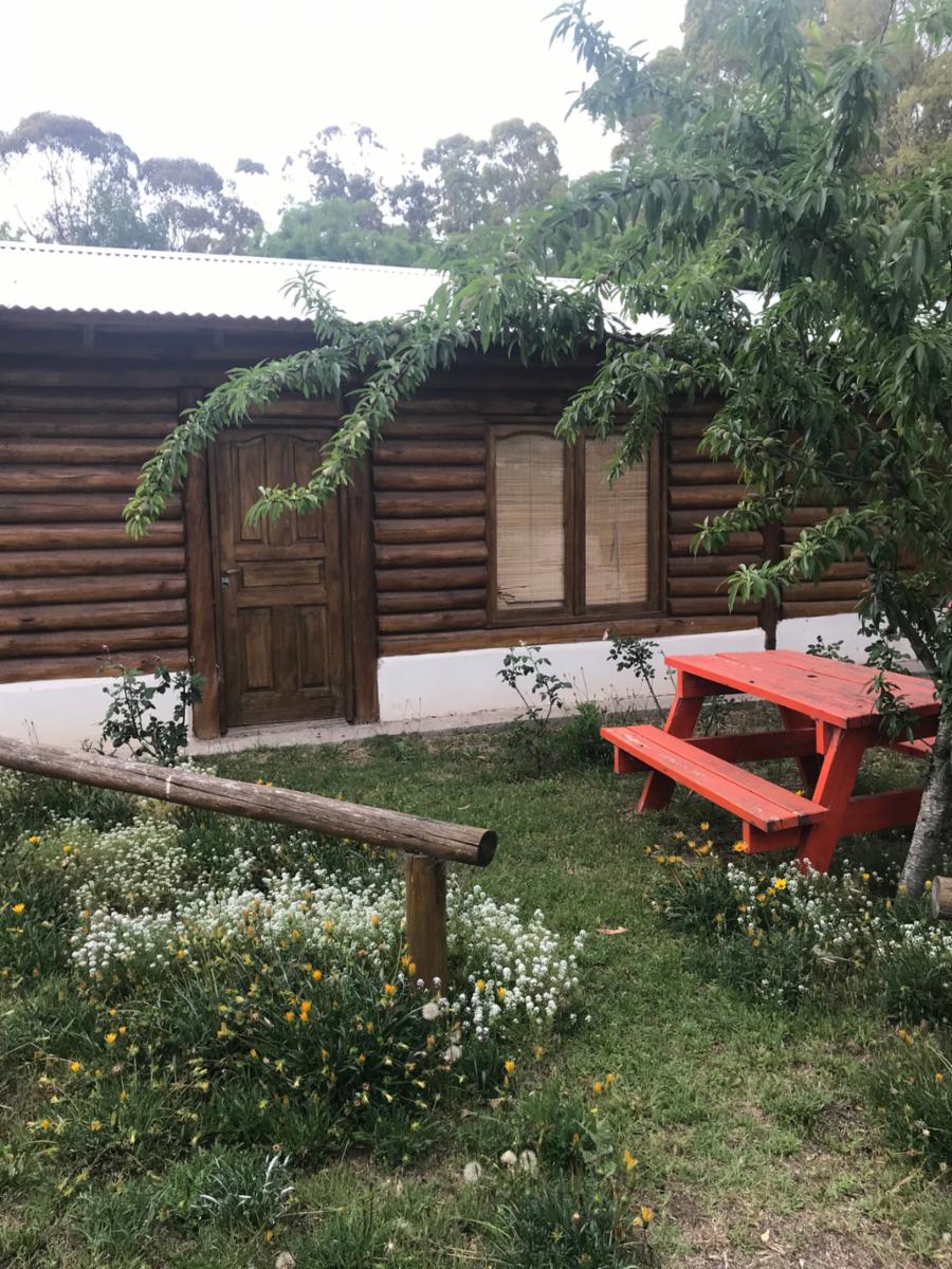 CABAÑAS DEL SAUCE - Cabaña Nº12 - 3