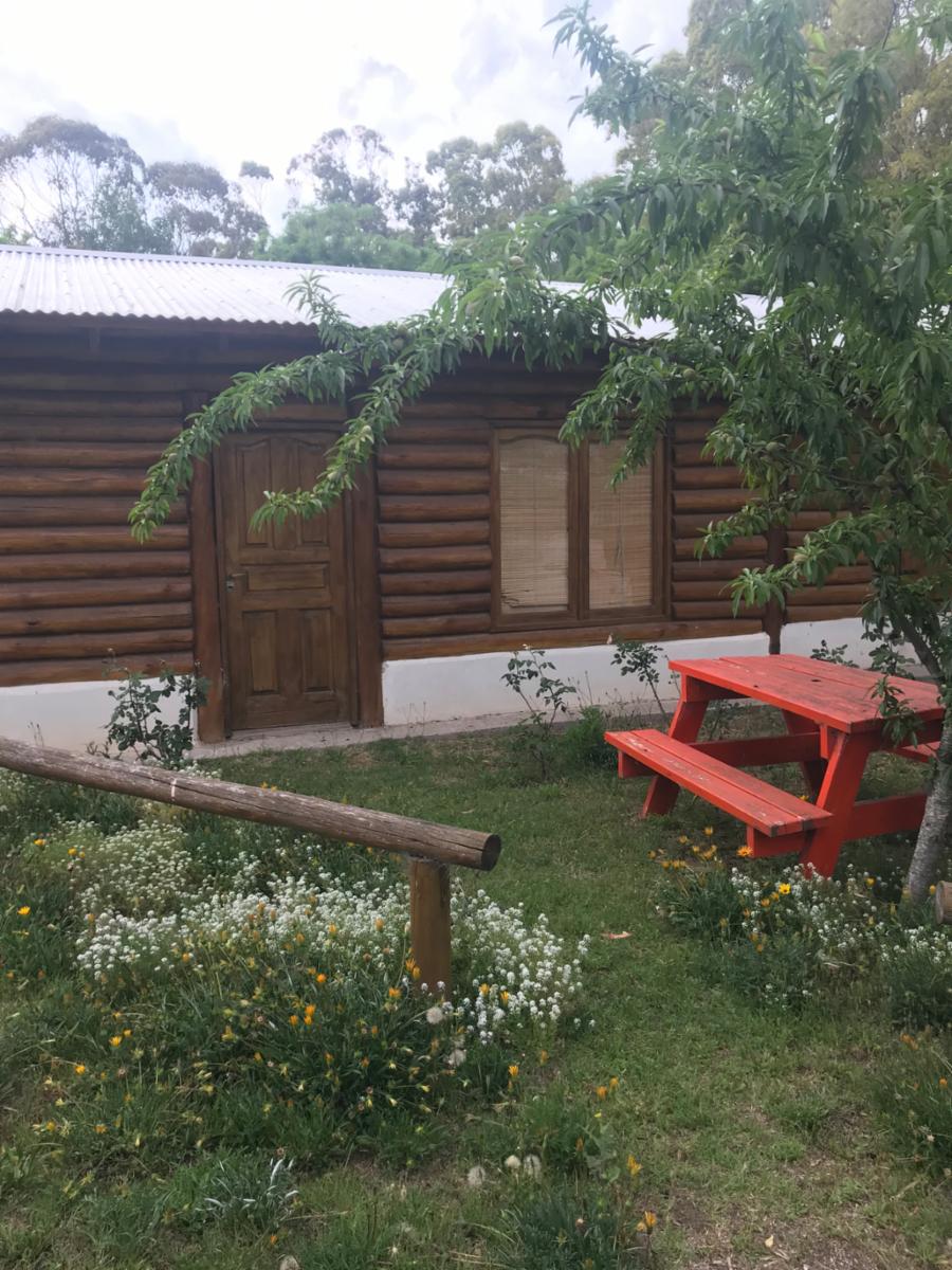 CABAÑAS DEL SAUCE - Cabaña Nº12 - 4