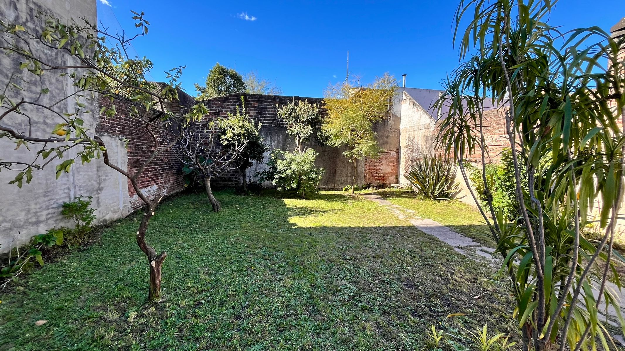 CASA 3 AMB SOBRE LOTE PROPIO - 7