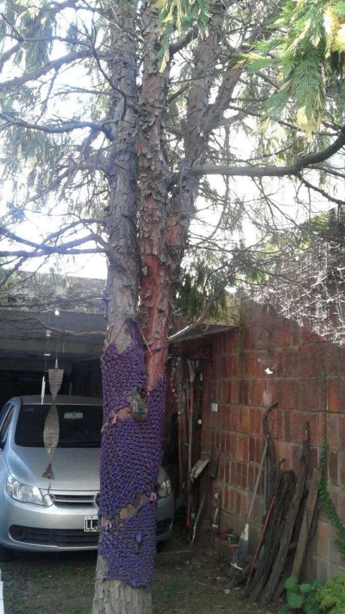 CASA DE 6 AMB. LOTE PROPIO FRANCO AL 3400 V. DEVOTO - 19