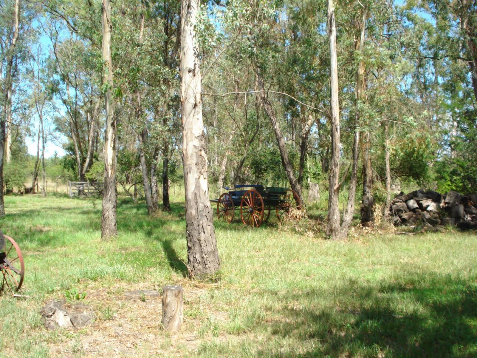 vendo terrenos Salto del Toledo — foto 3