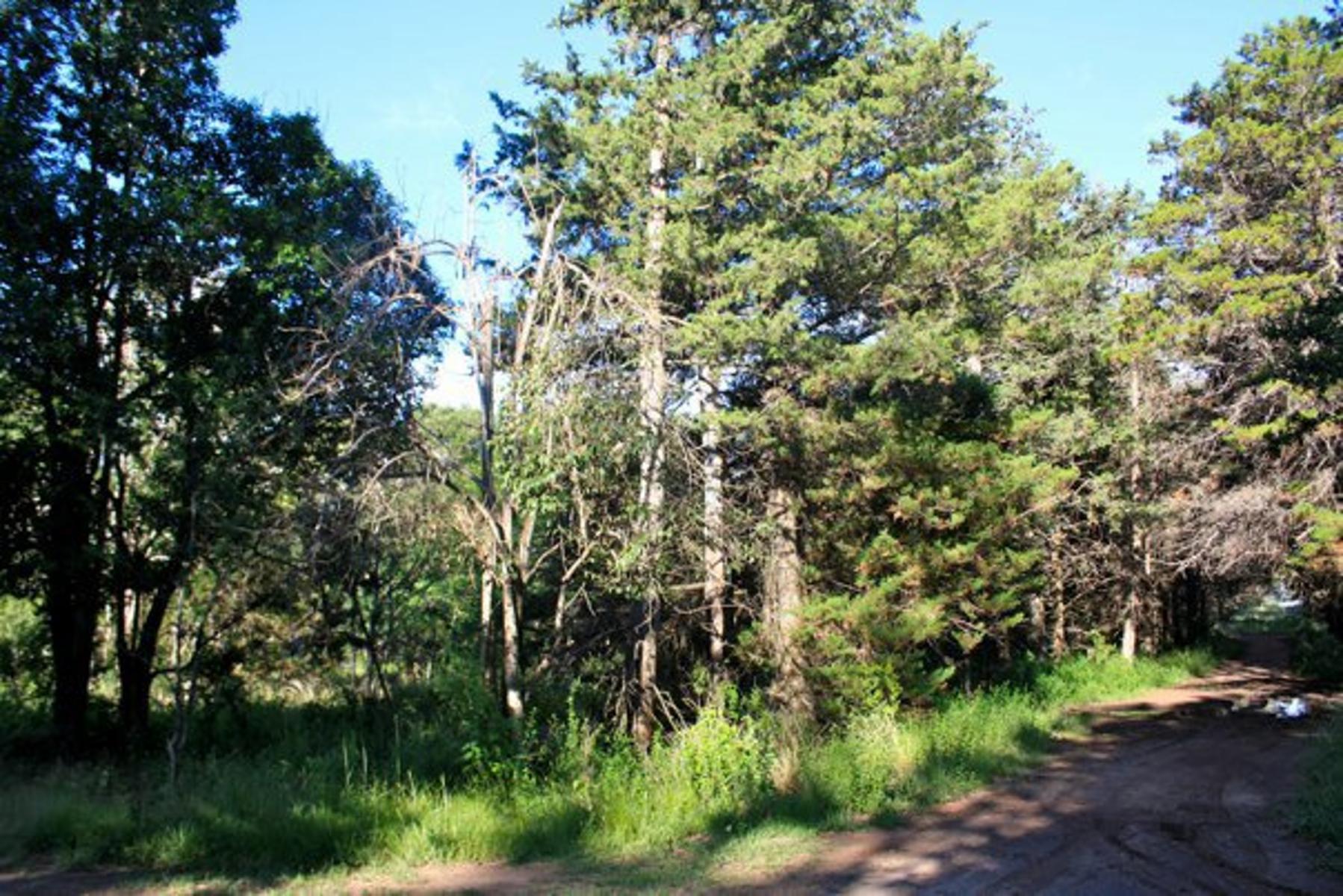 vendo terrenos Salto del Toledo — foto 5