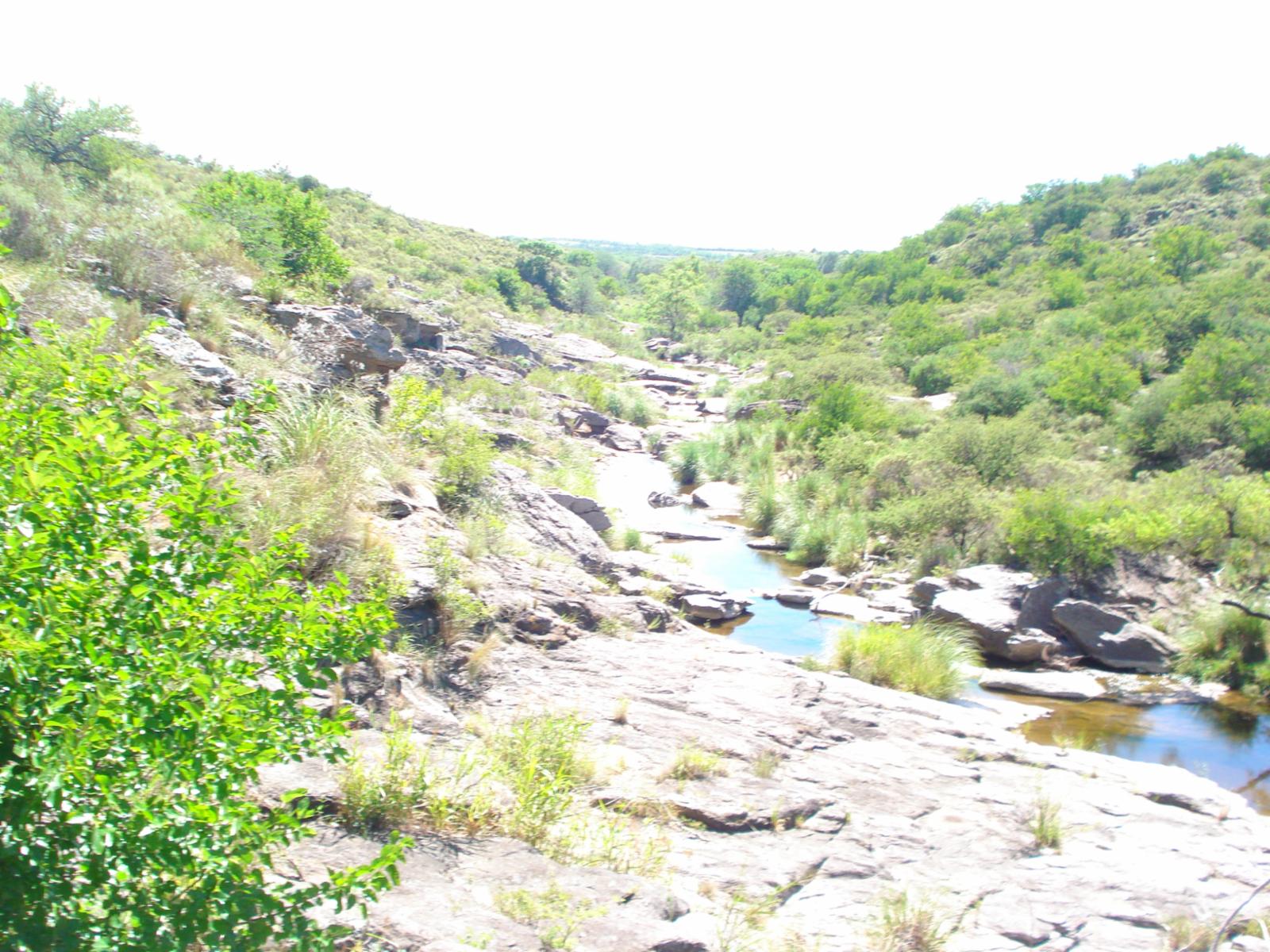 vendo terrenos Salto del Toledo — foto 6