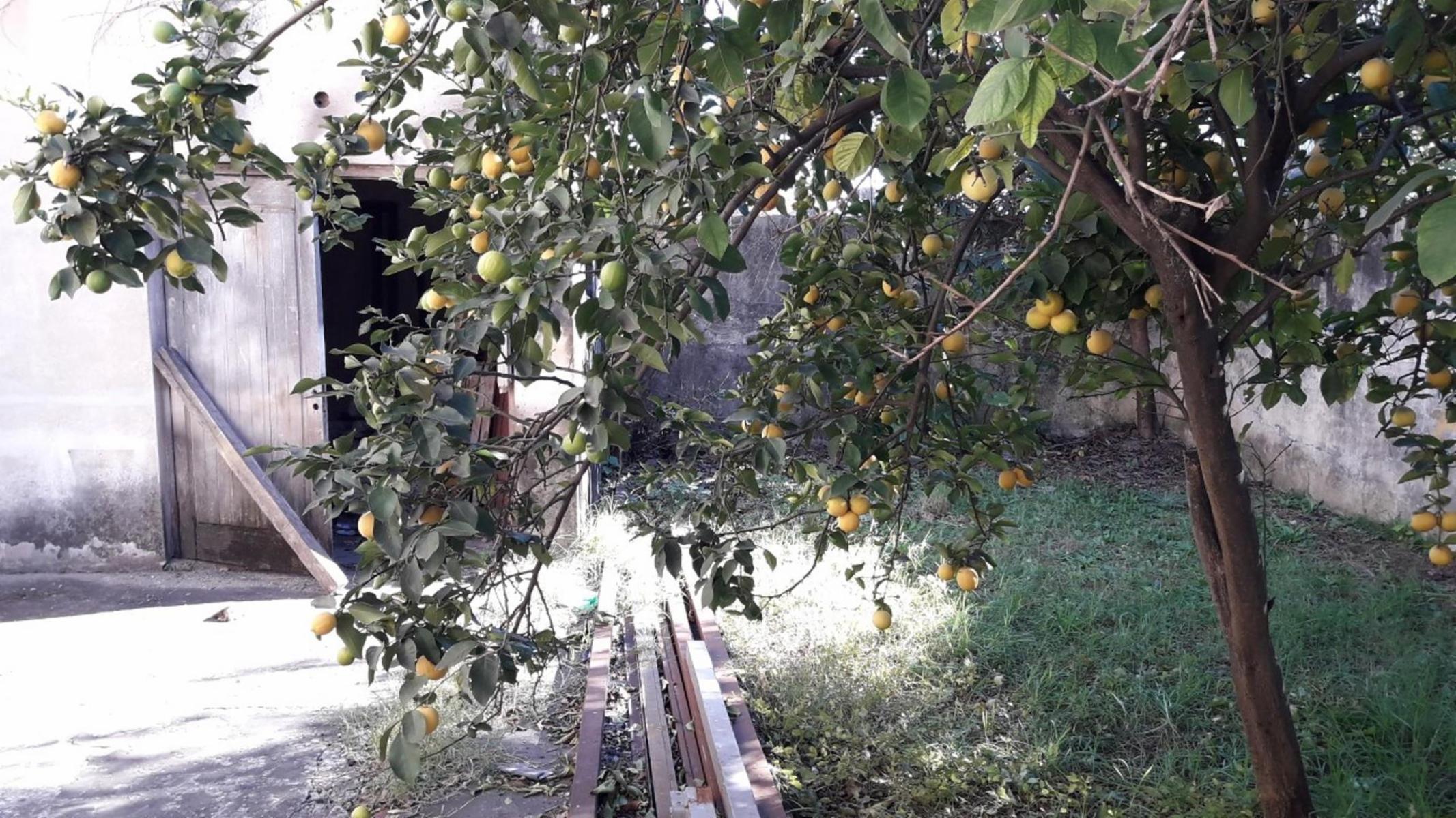 Barbaro Vende Galpón con vivienda en Billinghurst a metros de Av, Eva Perón - 2
