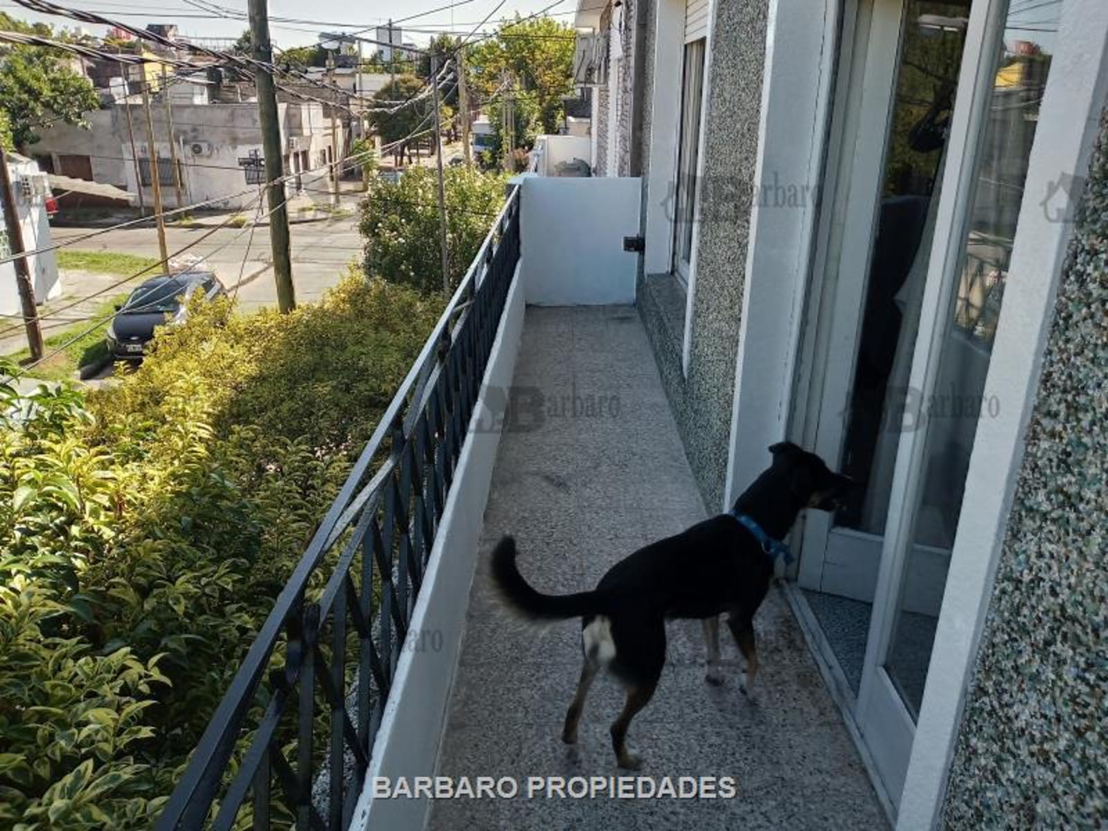 BARBARO VENDE GALPON CON VIVIENDA EN SAN ANDRES - 5